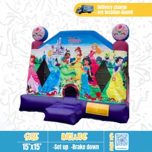 Disney Princesses Bounce House