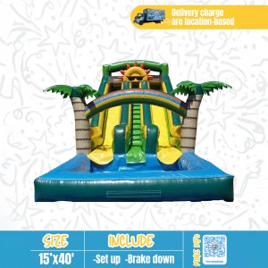 Rainbow Dual Lane Water Slide